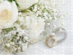 Kaz_Creations Deco Wedding Backgrounds Background - δωρεάν png