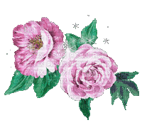 Little Roses - GIF animado grátis