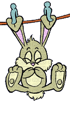 Lapin bisous - Free animated GIF