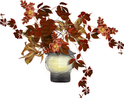 autumn leaf - фрее пнг