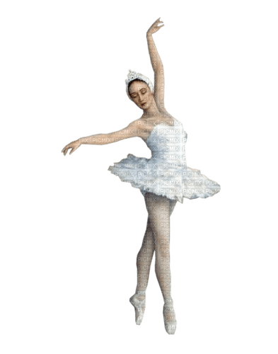 Ballerina - zdarma png