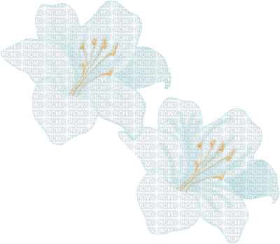 white flower - png gratis