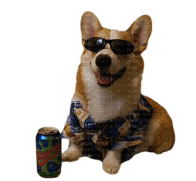 Kaz_Creations Dogs Dog Glasses - PNG gratuit