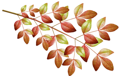 leaves, lehdet, sisustus, decor - Free PNG