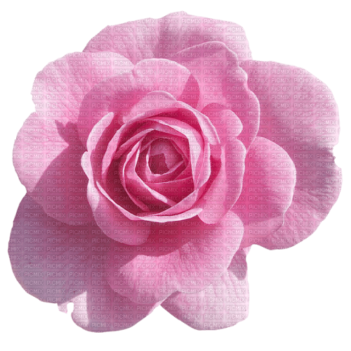 fleur - безплатен png