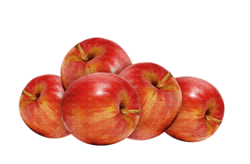 manzanas  dubravka4 - zadarmo png