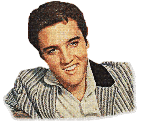 Elvis the King - Kostenlose animierte GIFs