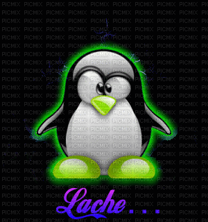 petit pinguin - Безплатен анимиран GIF