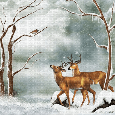 fondo ciervos invierno navidad dubravka4 - png ฟรี