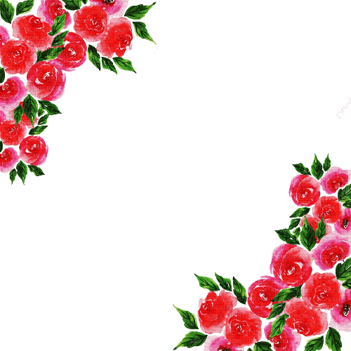 kikkapink roses frame spring flowers - ücretsiz png