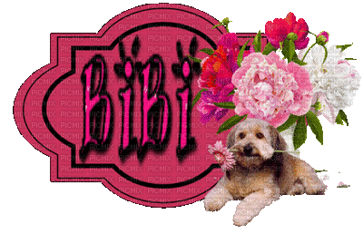 Bibi-Signature rose - GIF animé gratuit