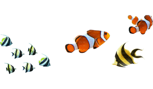 frutiger aero fish - 免费PNG