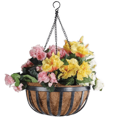 Blumenampel - gratis png