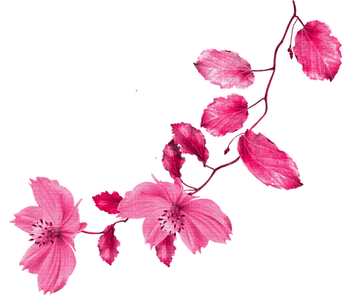 Branch.Leaves.Flowers.Pink - безплатен png