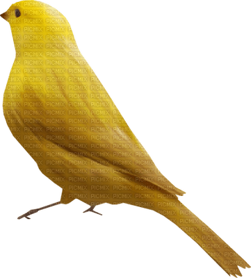 Kaz_Creations Bird Birds - zdarma png