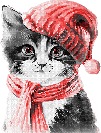 soave cat animals winter deco black white red - бесплатно png