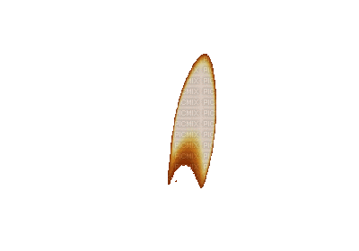 flame anastasia - Bezmaksas animēts GIF