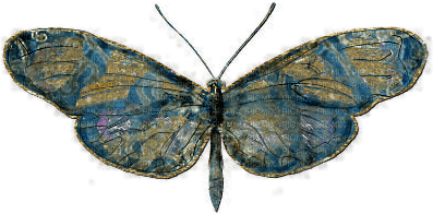 papillon - PNG gratuit