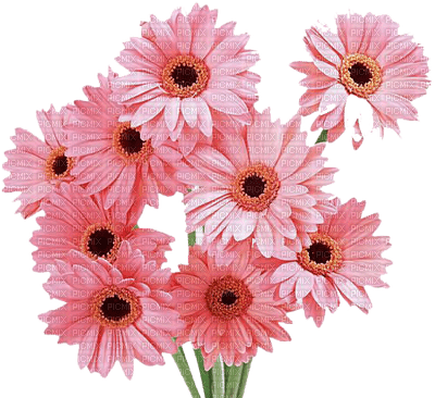 Flowers pink bp - бесплатно png