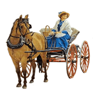 dama  coche de caballo dubravka4 - zdarma png