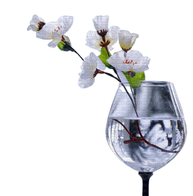 flower,glass - kostenlos png