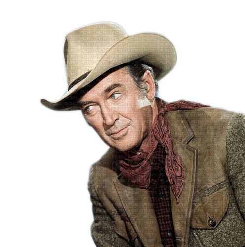 western cowboy milla1959 - darmowe png