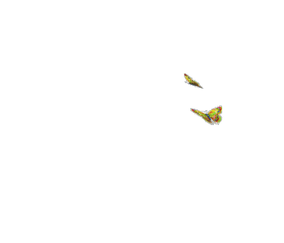 Butterflies - Jitter.Bug.Girl - Gratis geanimeerde GIF