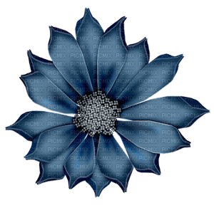 blue-flower-deco - zadarmo png