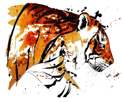 tigre.Cheyenne63 - nemokama png
