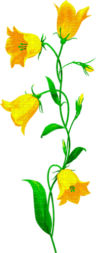 Flowers.Yellow - Free PNG