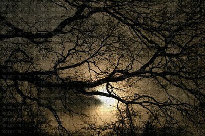 maisema landscape syksy autumn darkness - PNG gratuit