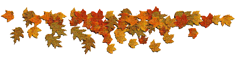 fall autumn leaf leaves feuille - Бесплатни анимирани ГИФ