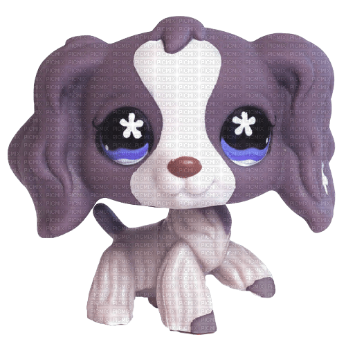lps spaniel - Free PNG