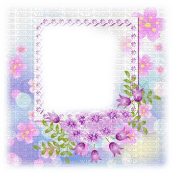 frame*kn* - 免费PNG