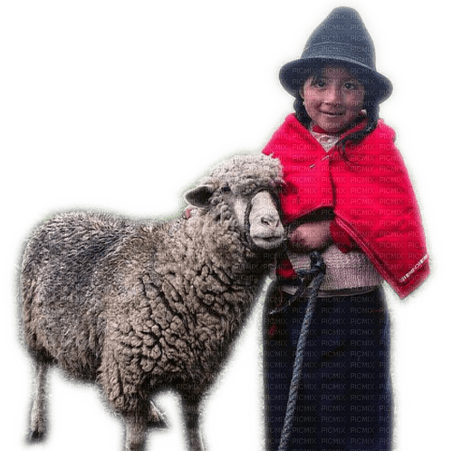 Rena Kind Child Schaf Mädchen - besplatni png