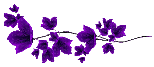 Animated.Flowers.Purple - By KittyKatLuv65 - Animovaný GIF zadarmo