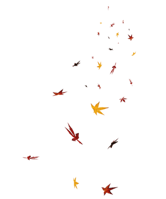 Autumn leaf - bezmaksas png