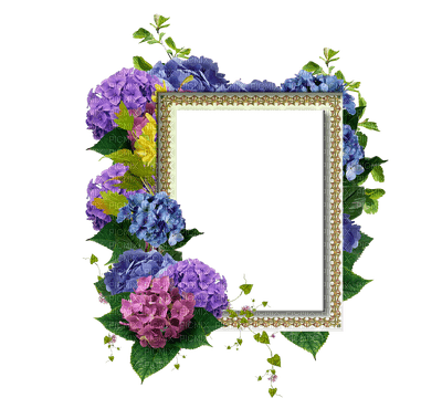 Cadre.Frame.Fleur.flowers.Hortensias.Hydrangeas.Victoriabea - PNG gratuit