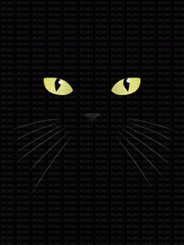 Black Cat - Animovaný GIF zadarmo