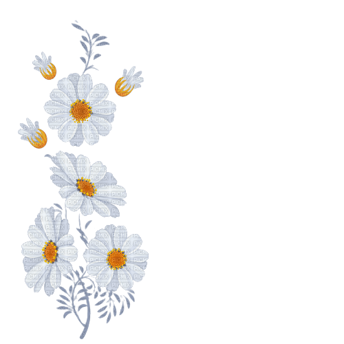 Vanessa Valo _crea=white flowers deco - PNG gratuit