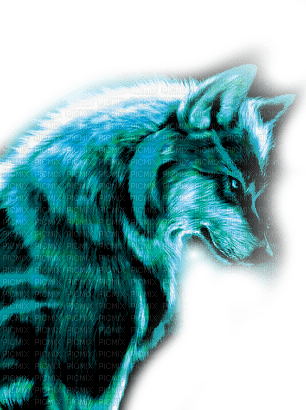 Wolf - 免费PNG