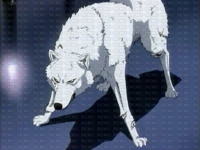wolf-rain-anime - png grátis