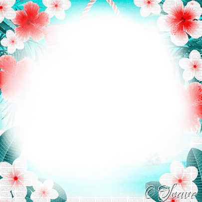 soave frame summer flowers tropical pink teal - Free PNG