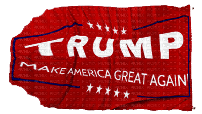 Trump Flag Backwards *** - Бесплатный анимированный гифка