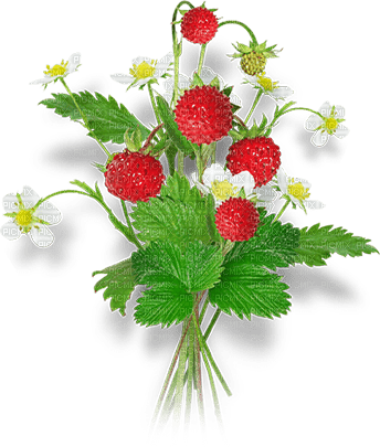 soave deco strawberry flowers white red green - Free PNG