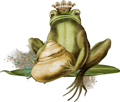 Kaz_Creations Frogs Frog - darmowe png