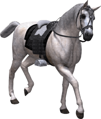 cheval.Cheyenne63 - ücretsiz png