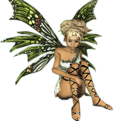 Fairy 13 - zdarma png