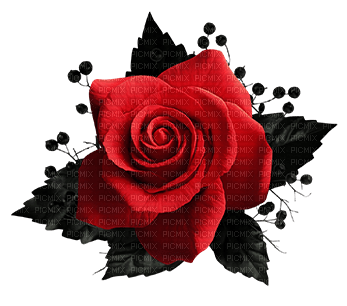 gothic deco png halloween kikkapink rose red - безплатен png