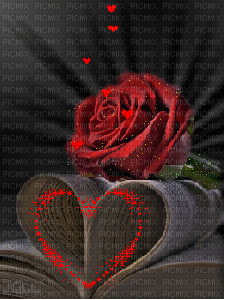 Розы - Zdarma animovaný GIF